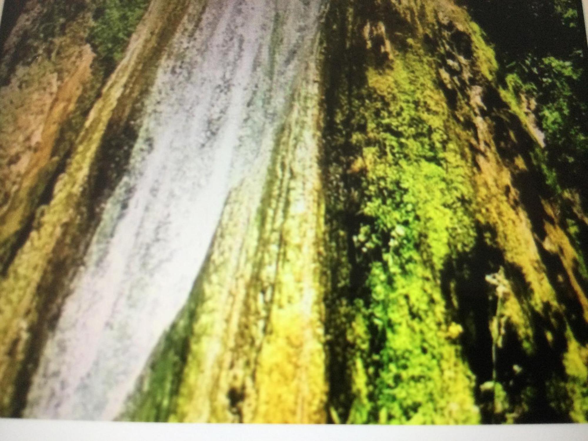 Jubriqueアパートメント エクステリア 写真